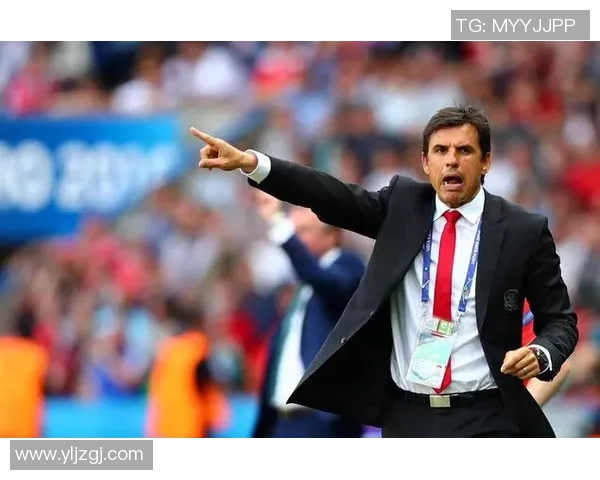 威尔士与北爱尔兰比赛盘口深度分析与投注建议 威尔士与北爱尔兰比赛盘口深度分析与投注建议