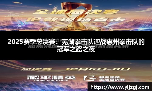 2025赛季总决赛：芜湖拳击队迎战惠州拳击队的冠军之路之夜
