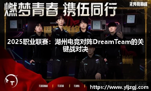 2025职业联赛：湖州电竞对阵DreamTeam的关键战对决
